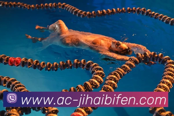 多媒体互动体验