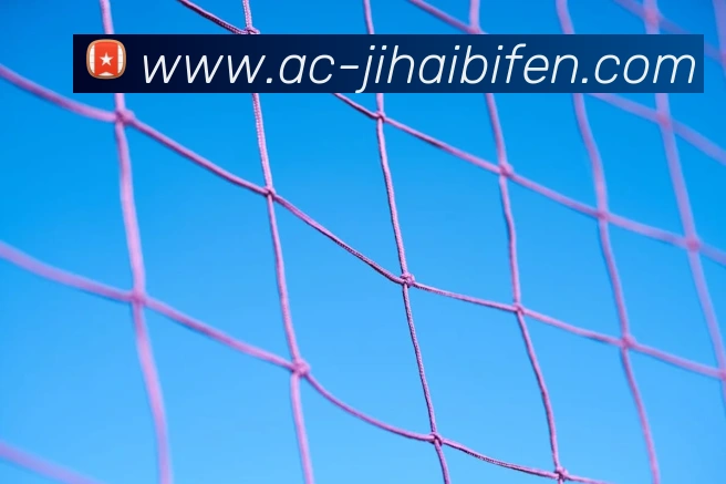 即嗨比分APP 体育赛事宣传图